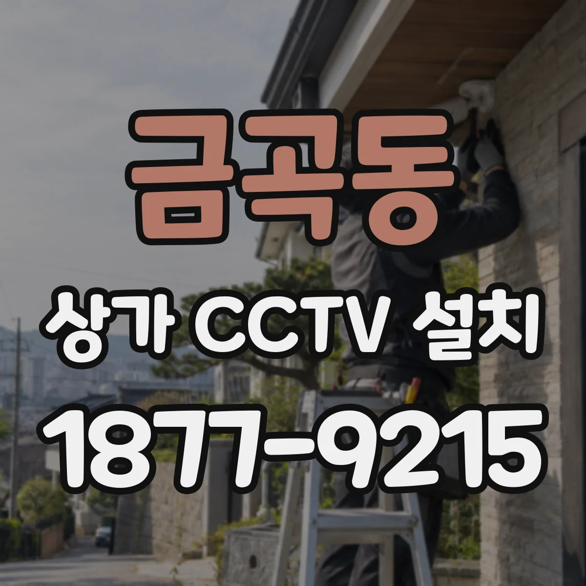 금곡동 상가 CCTV 설치