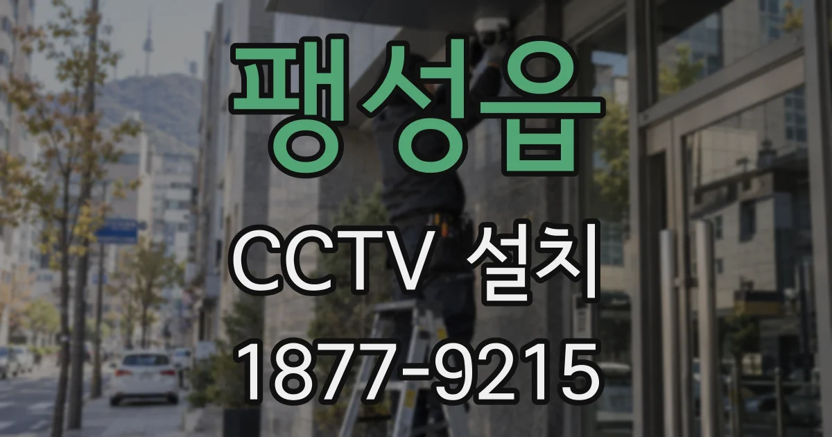 팽성읍 CCTV 설치