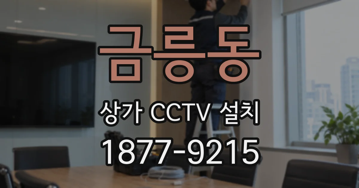 금릉동 상가 CCTV 설치