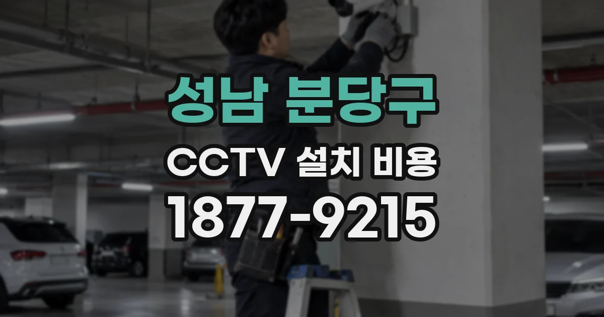 성남 분당구 CCTV 설치 비용
