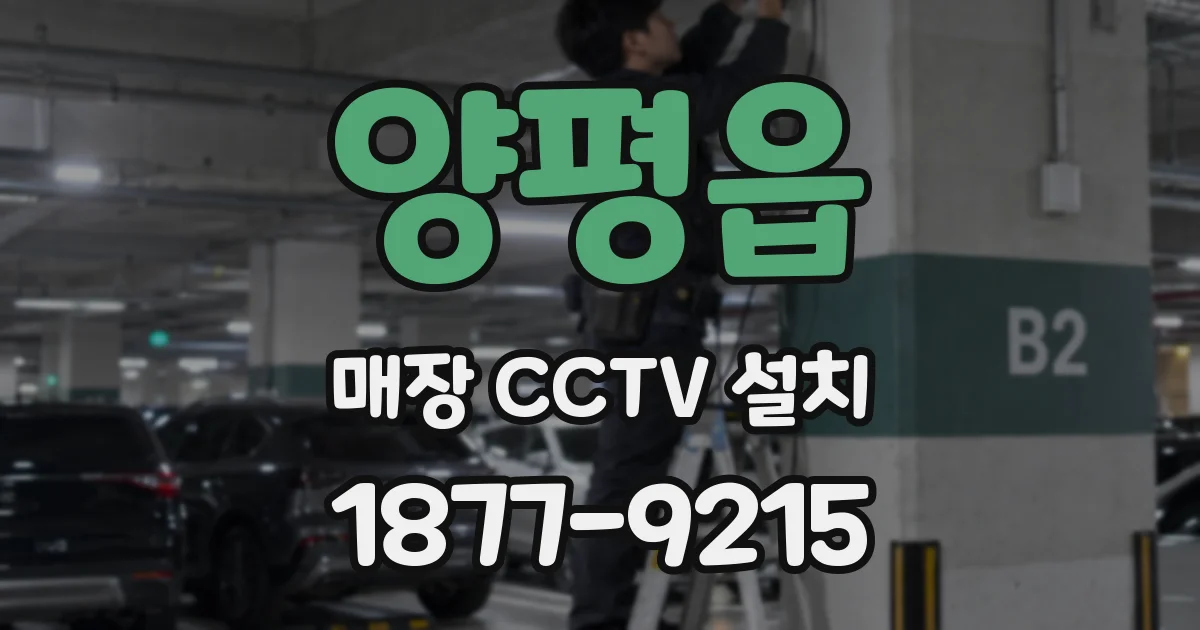 양평읍 매장 CCTV 설치