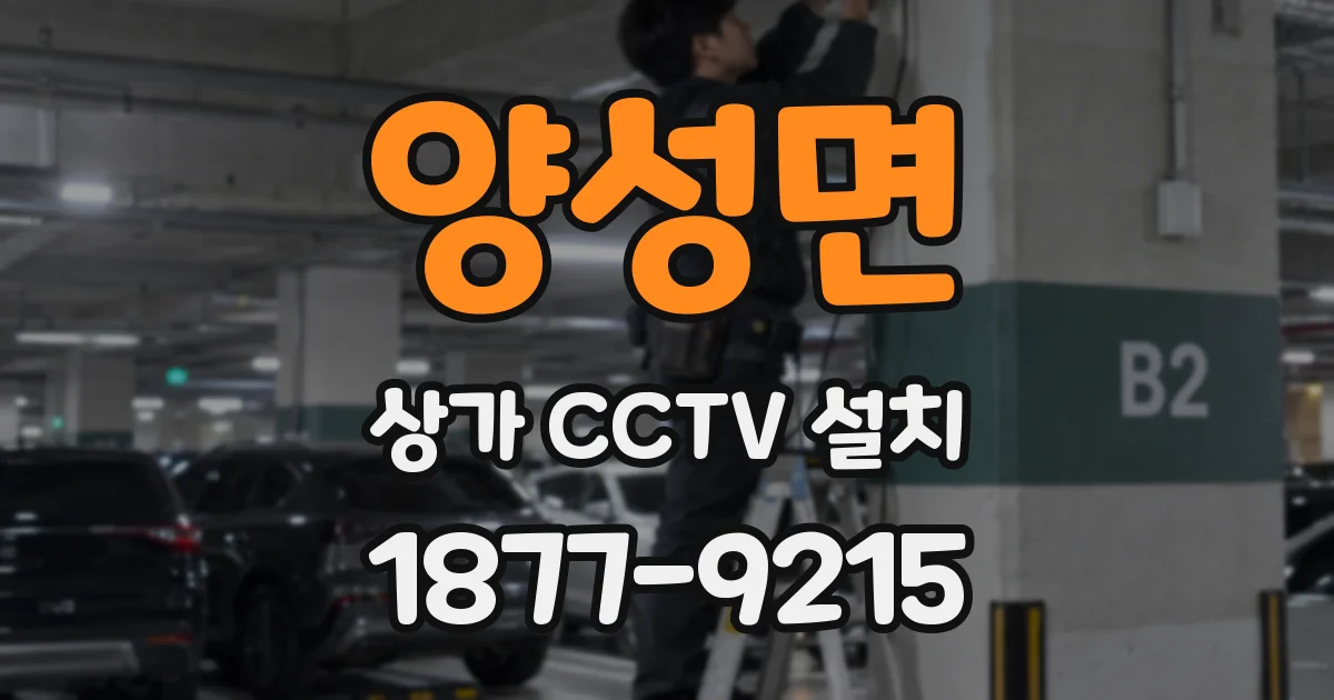 양성면 상가 CCTV 설치