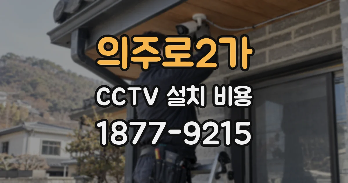의주로2가 CCTV 설치 비용
