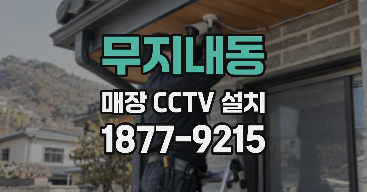 무지내동 매장 CCTV 설치