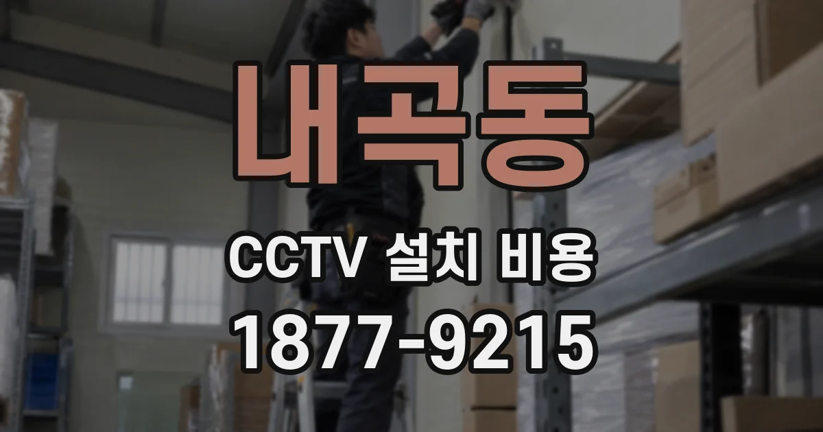 내곡동 CCTV 설치 비용