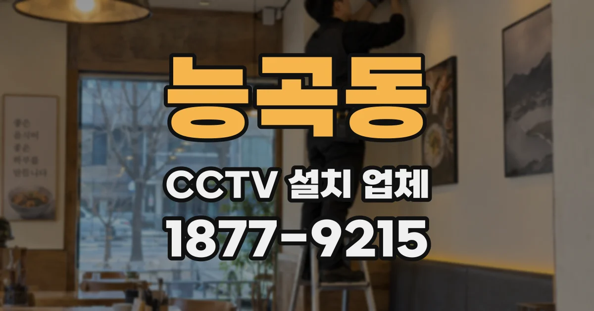 능곡동 CCTV 설치 업체