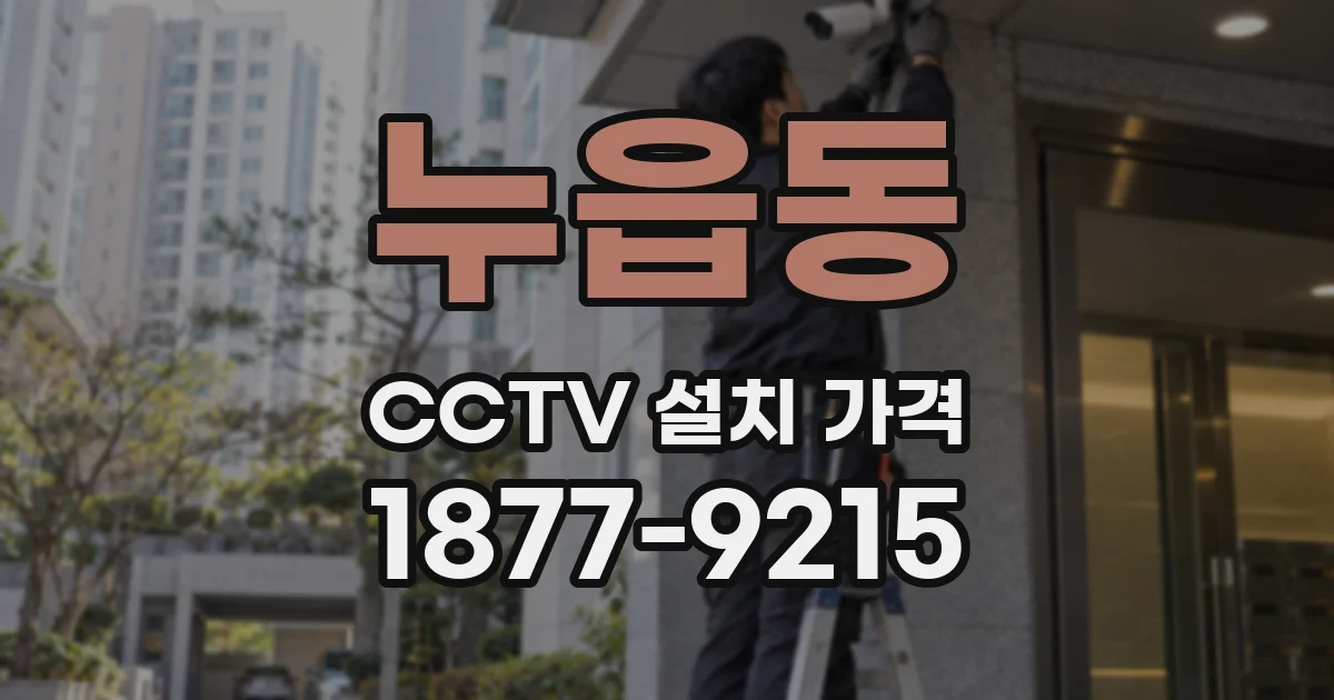 누읍동 CCTV 설치 가격