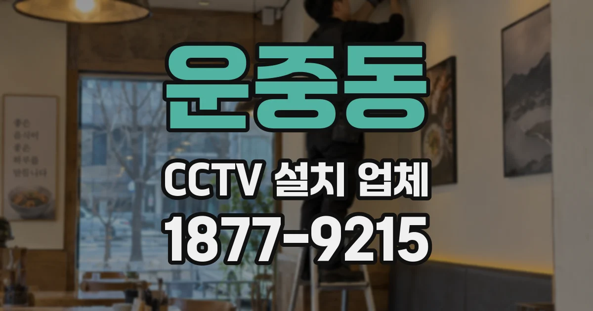 운중동 CCTV 설치 업체