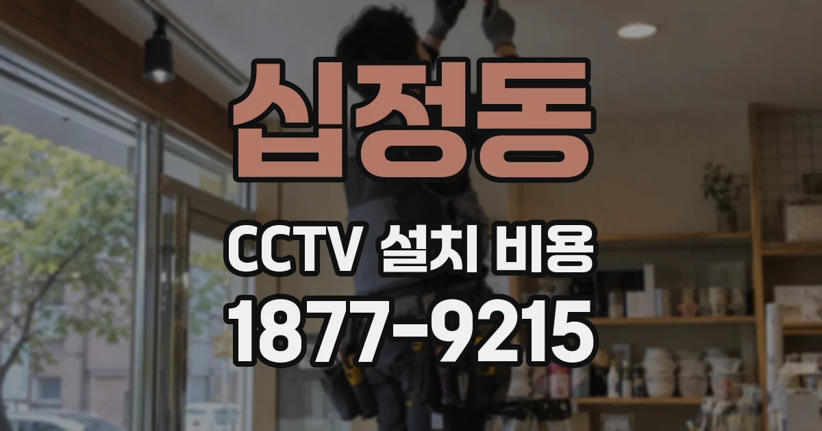 십정동 CCTV 설치 비용