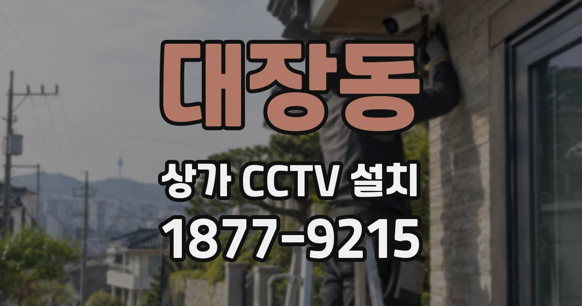 대장동 상가 CCTV 설치