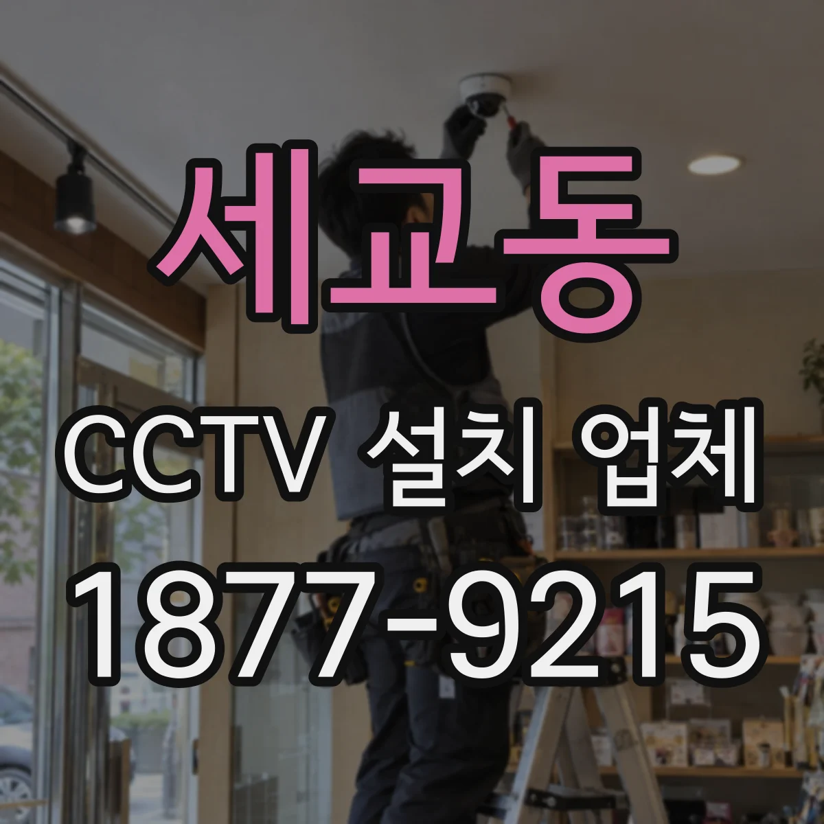 세교동 CCTV 설치 업체