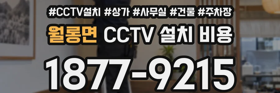 월롱면 CCTV 설치 비용