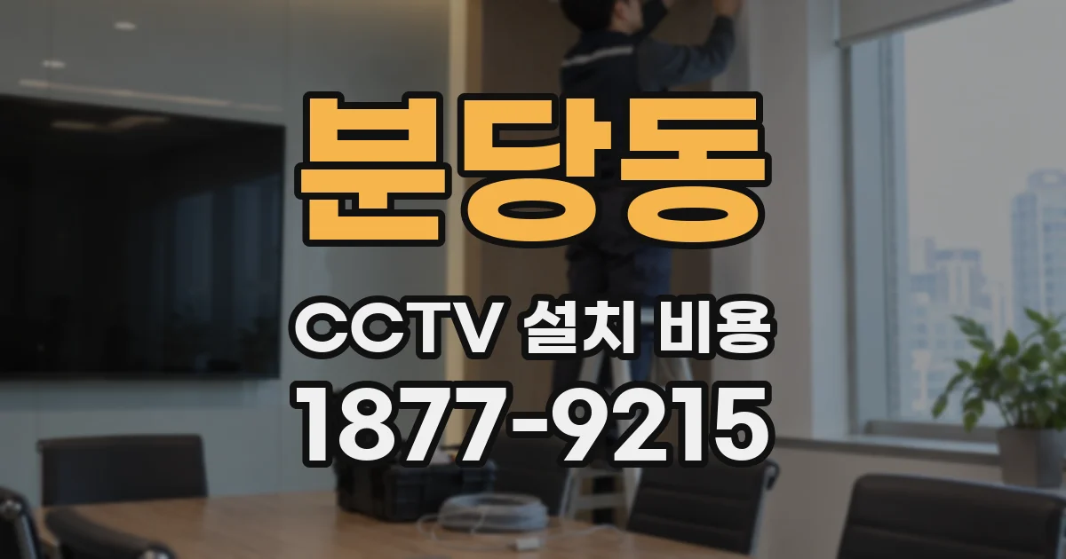 분당동 CCTV 설치 비용