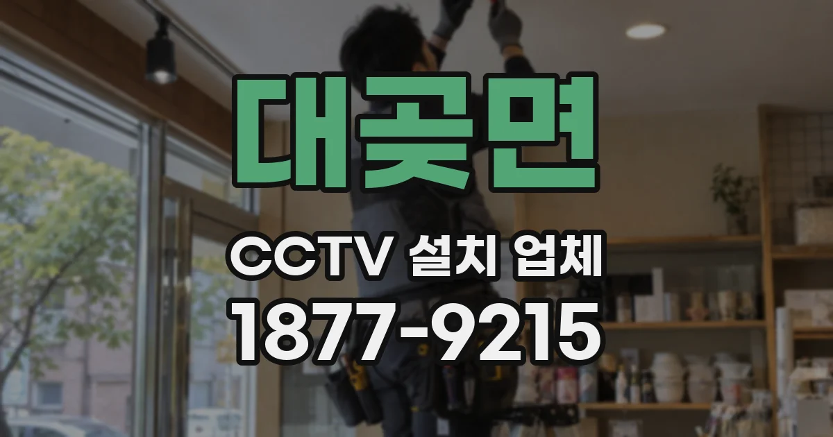 대곶면 CCTV 설치 업체