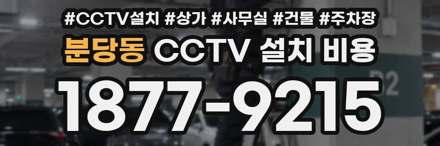분당동 CCTV 설치 비용