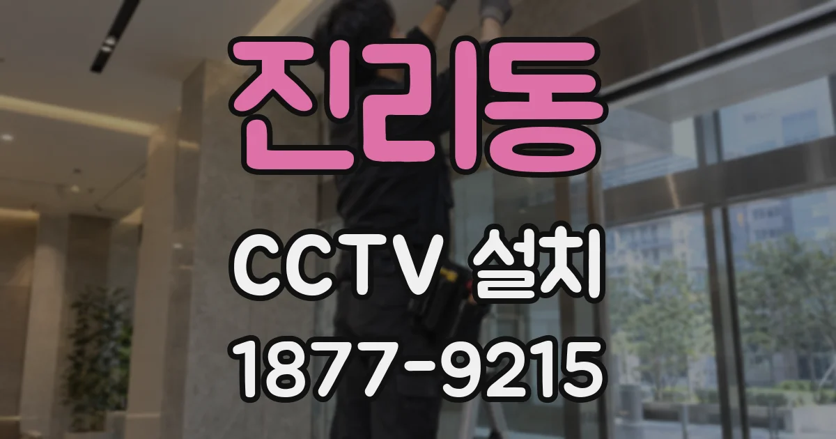 진리동 CCTV 설치