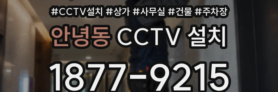 안녕동 CCTV 설치