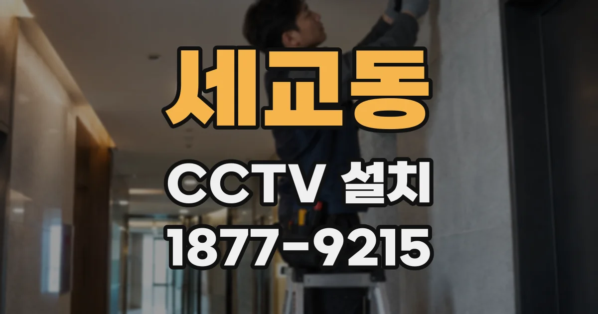 세교동 CCTV 설치