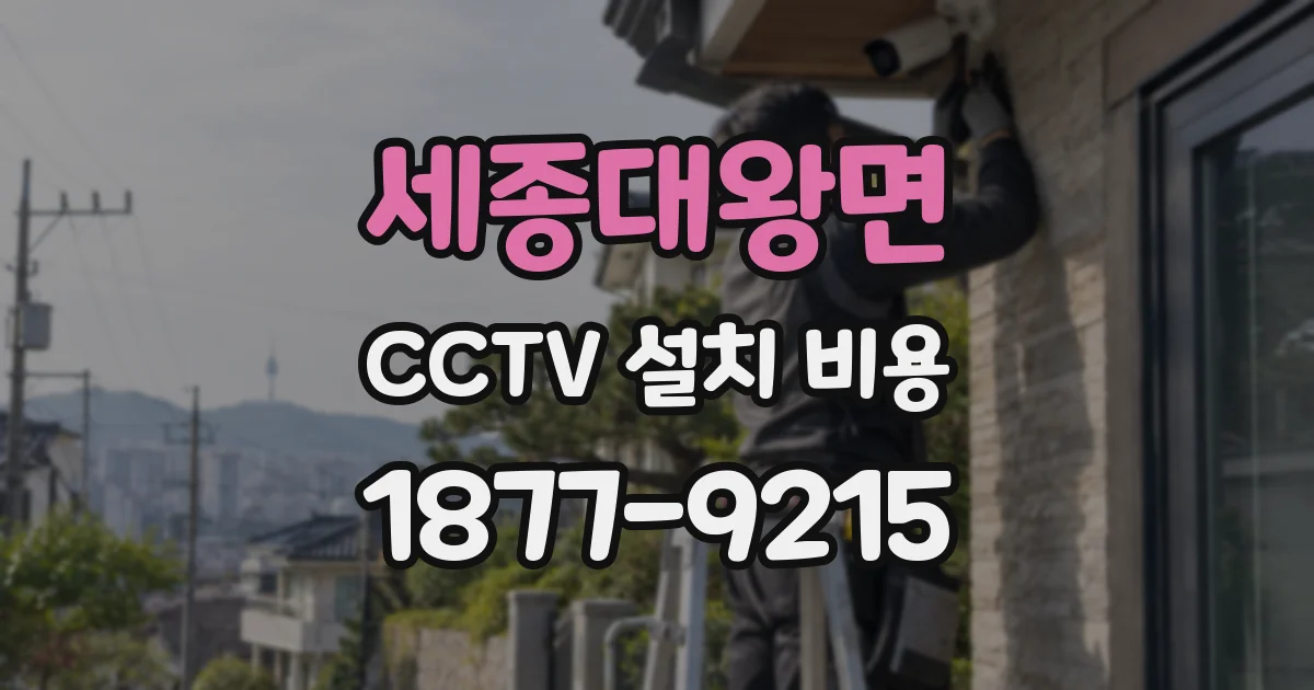세종대왕면 CCTV 설치 비용