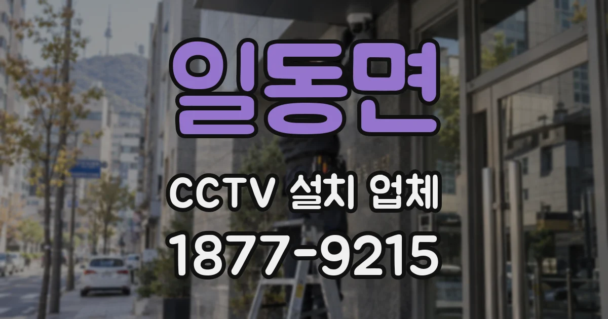 일동면 CCTV 설치 업체