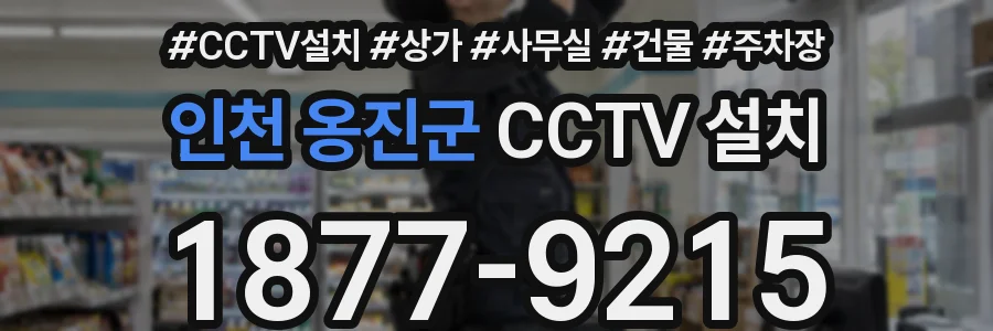 인천 옹진군 CCTV 설치