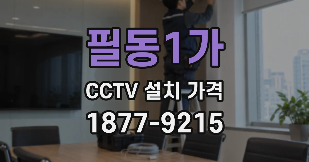 필동1가 CCTV 설치 가격
