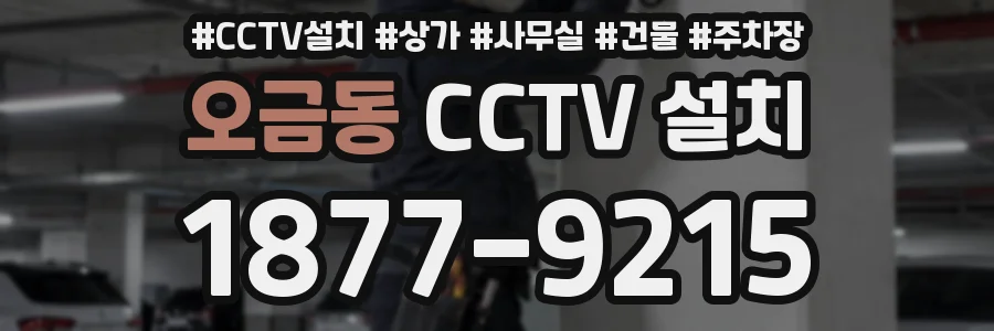 오금동 CCTV 설치