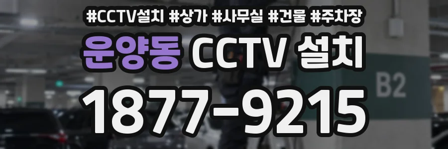 운양동 CCTV 설치