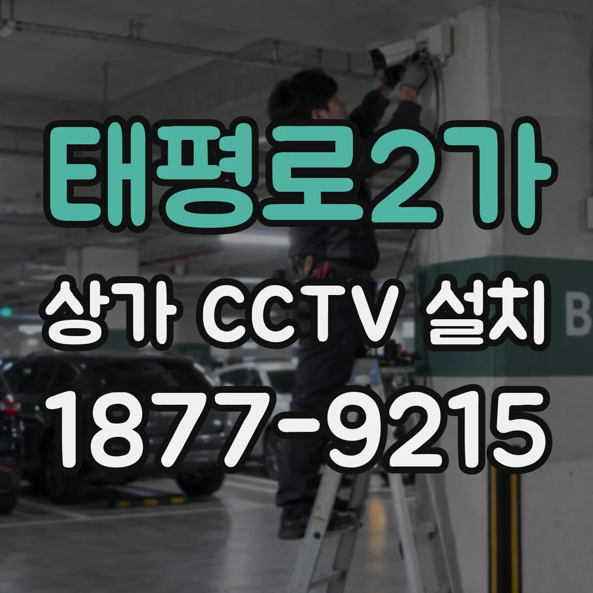 태평로2가 상가 CCTV 설치