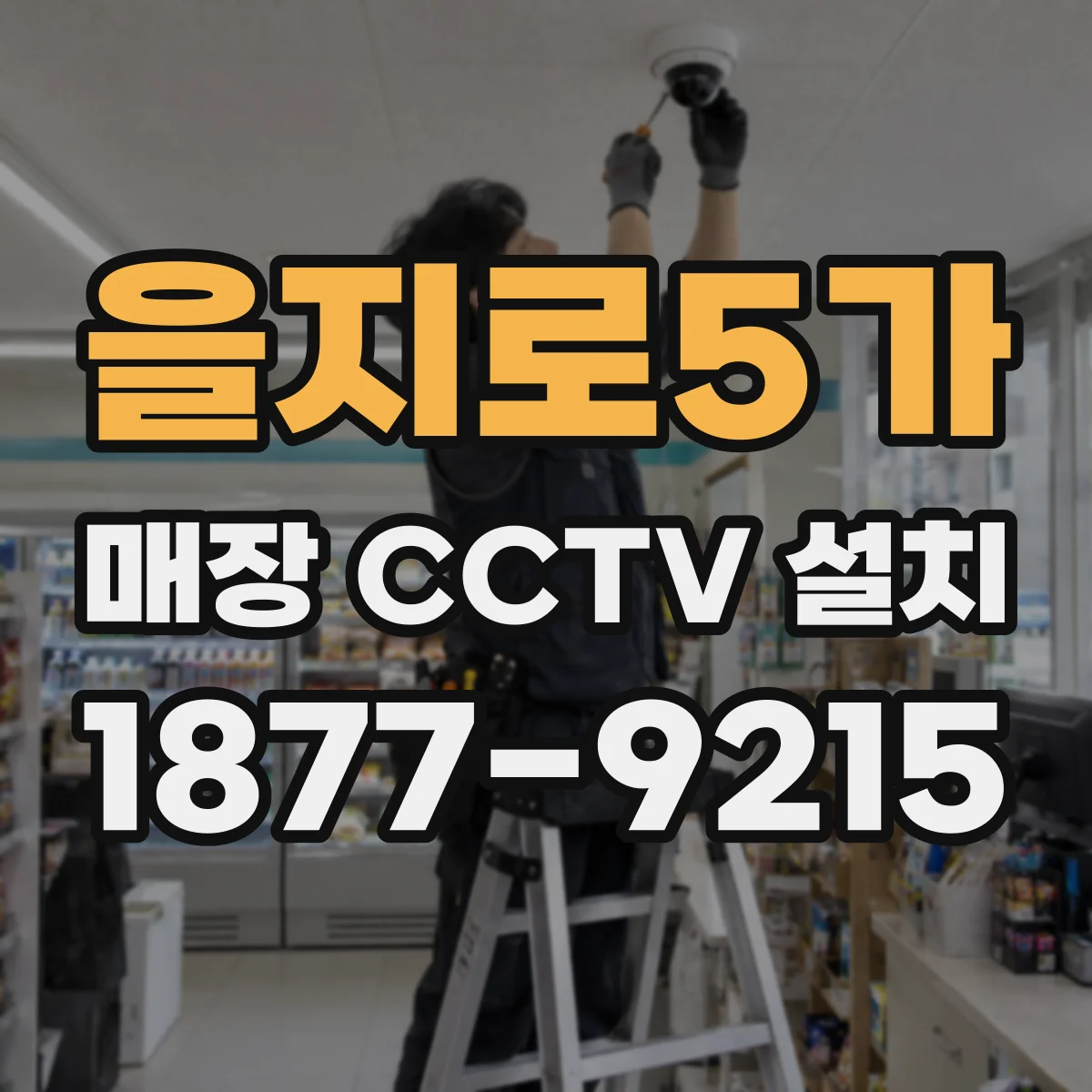 을지로5가 매장 CCTV 설치
