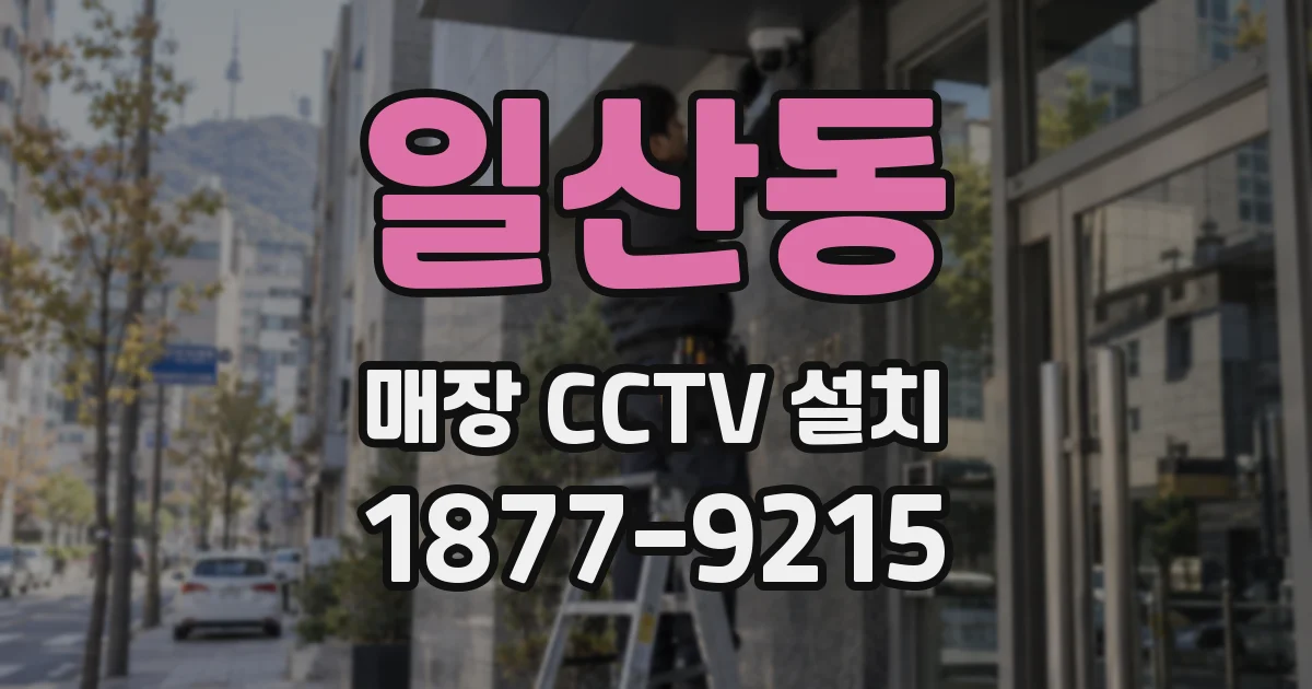 일산동 매장 CCTV 설치