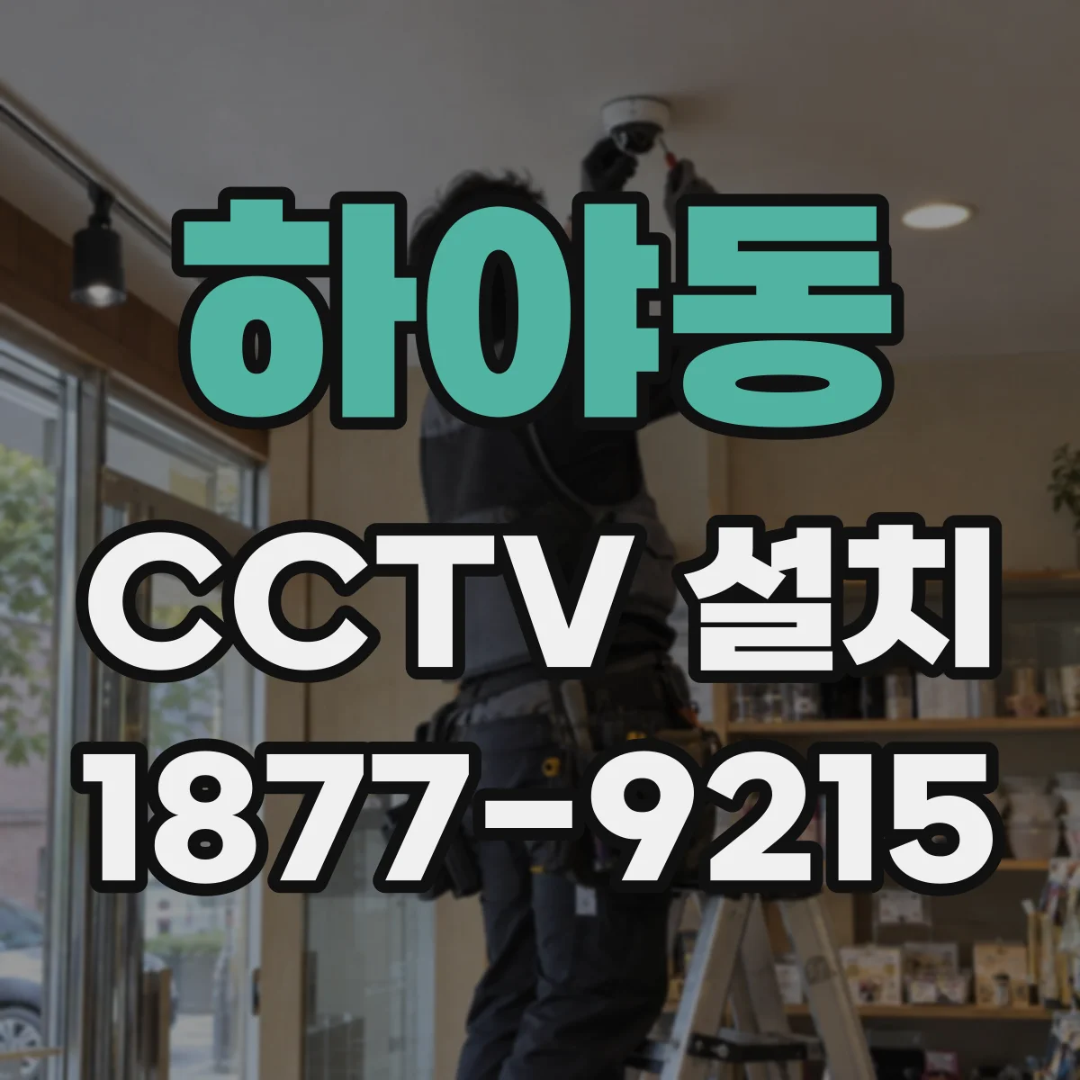 하야동 CCTV 설치