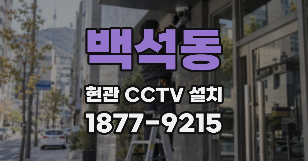 백석동 현관 CCTV 설치