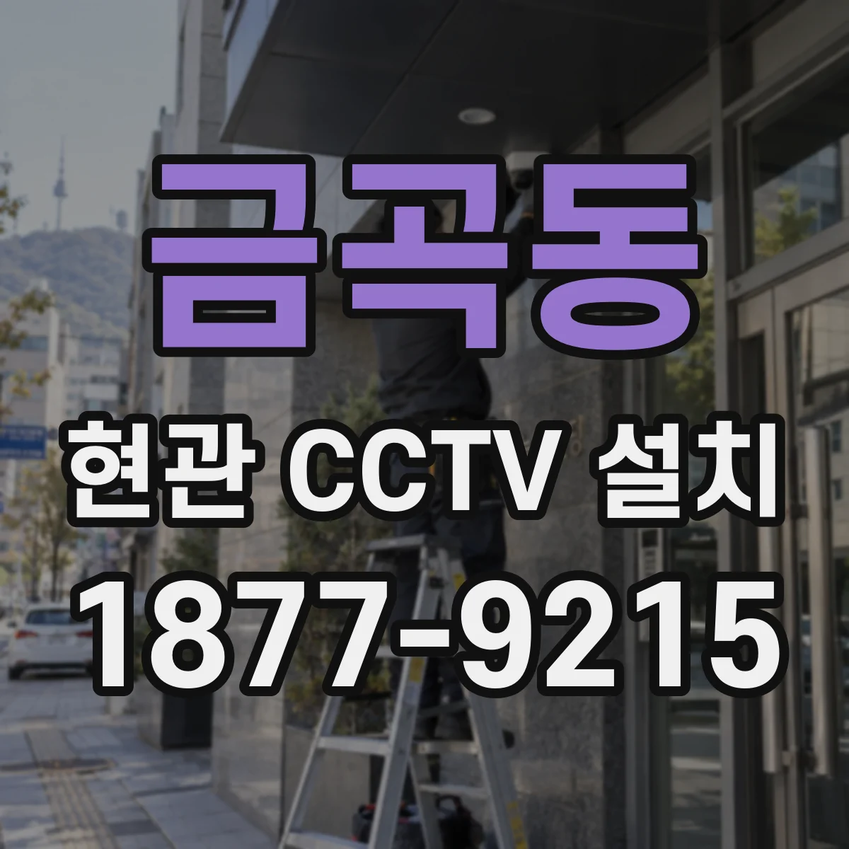금곡동 현관 CCTV 설치