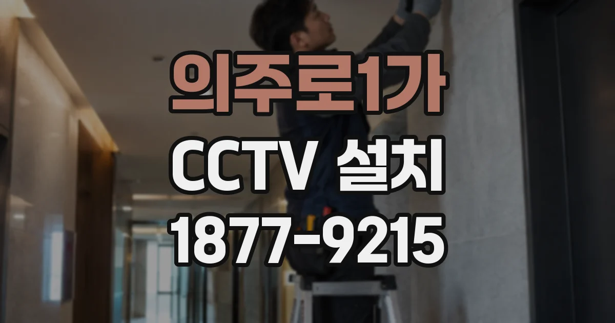 의주로1가 CCTV 설치