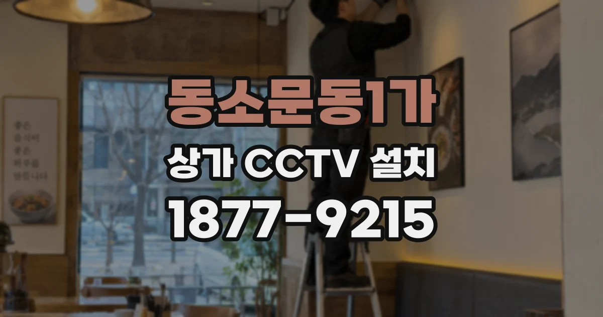 동소문동1가 상가 CCTV 설치