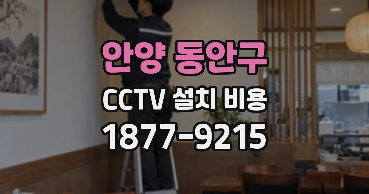 안양 동안구 CCTV 설치 비용