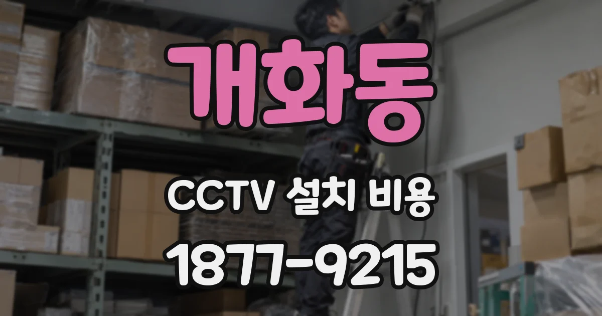 개화동 CCTV 설치 비용
