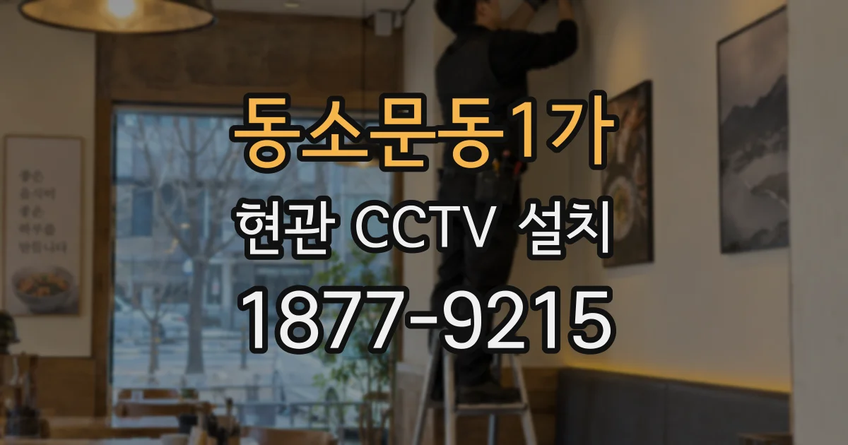 동소문동1가 현관 CCTV 설치