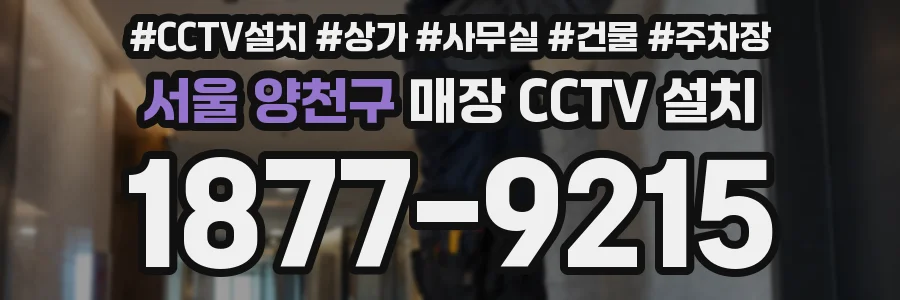 서울 양천구 매장 CCTV 설치