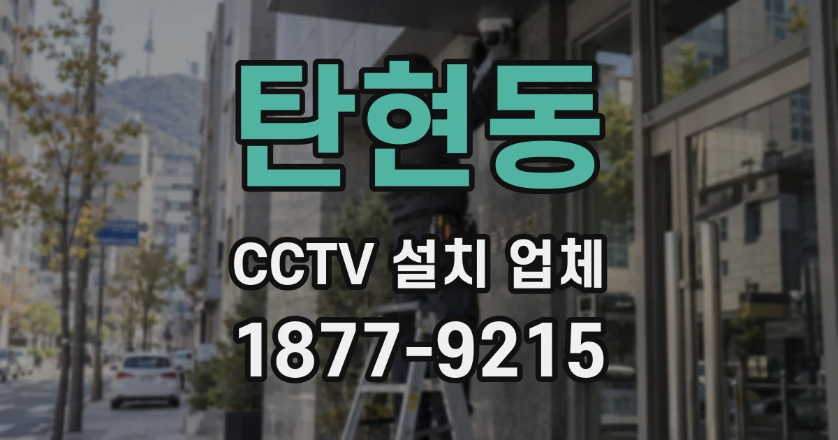 탄현동 CCTV 설치 업체