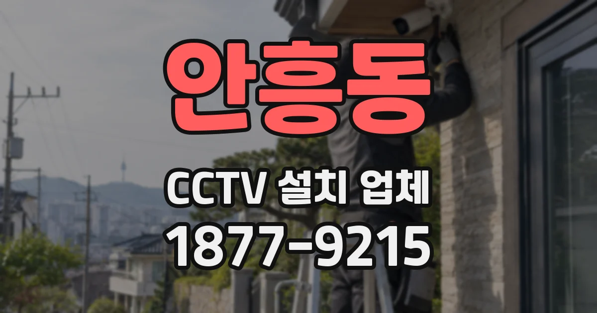 안흥동 CCTV 설치 업체