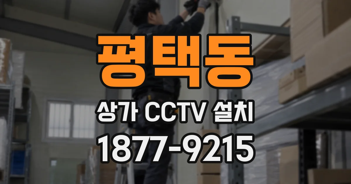 평택동 상가 CCTV 설치