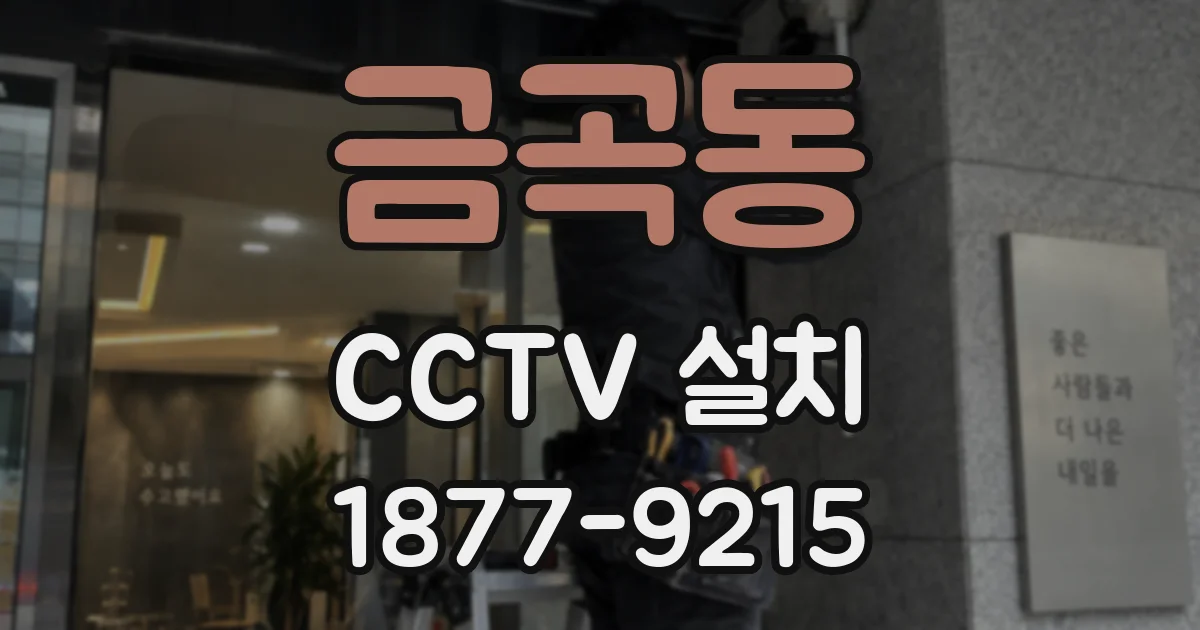 금곡동 CCTV 설치