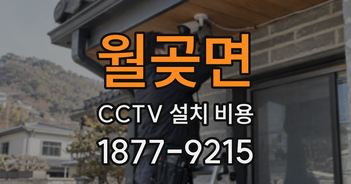 월곶면 CCTV 설치 비용
