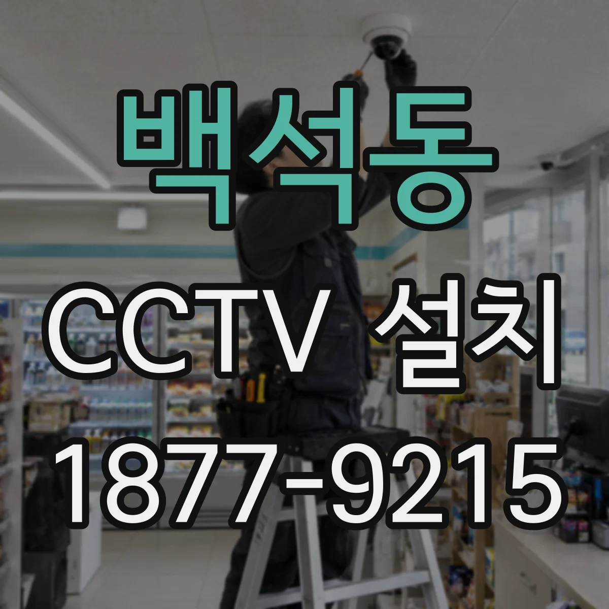 백석동 CCTV 설치