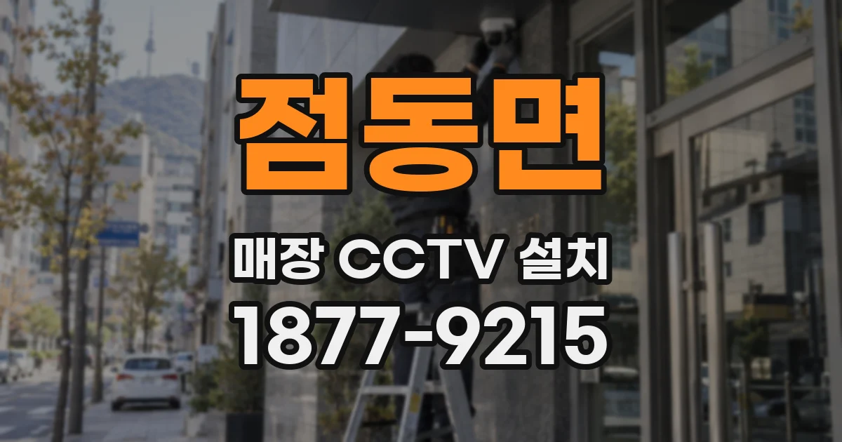점동면 매장 CCTV 설치