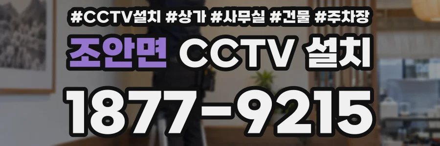 조안면 CCTV 설치