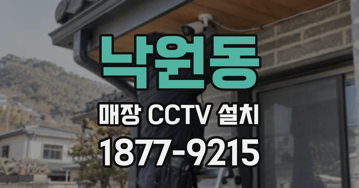 낙원동 매장 CCTV 설치