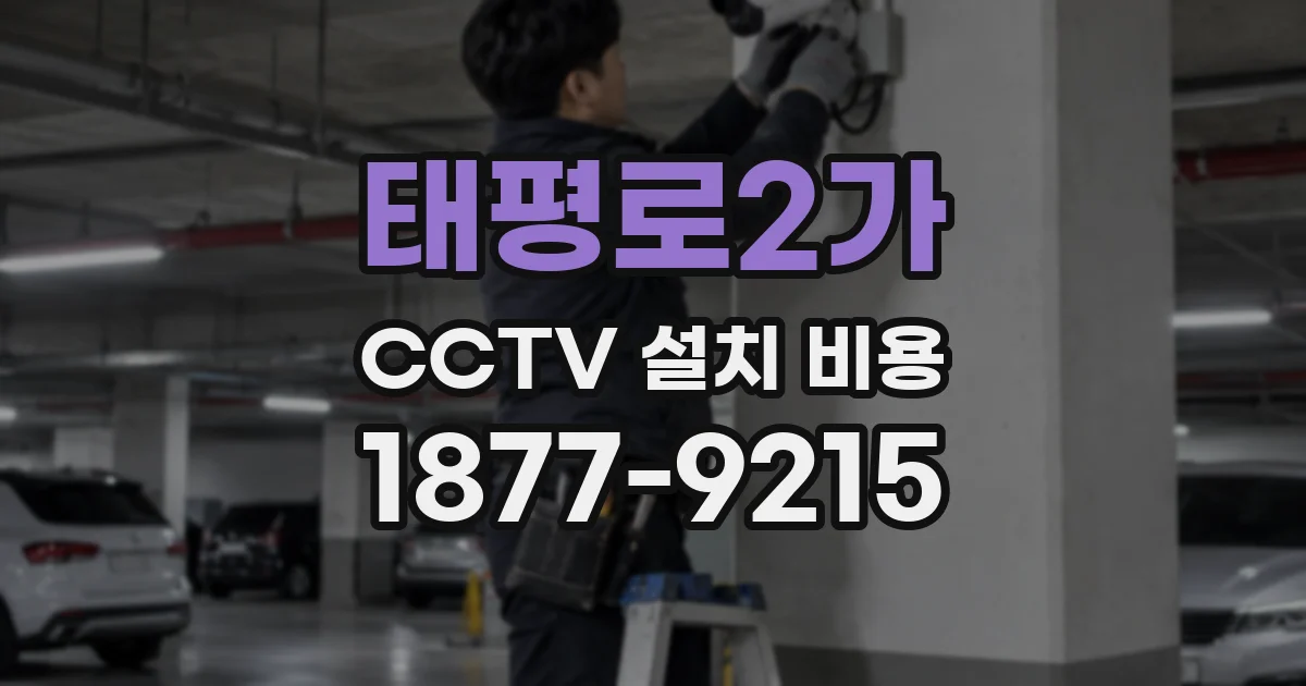 태평로2가 CCTV 설치 비용